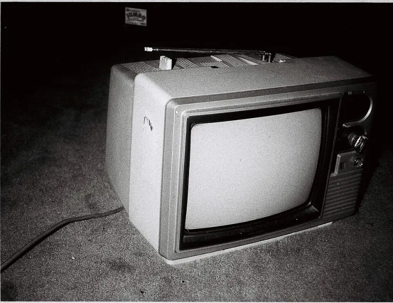 Canceled Too Soon, Born Too Early: The Case for Black Donnellys in the Streaming Age